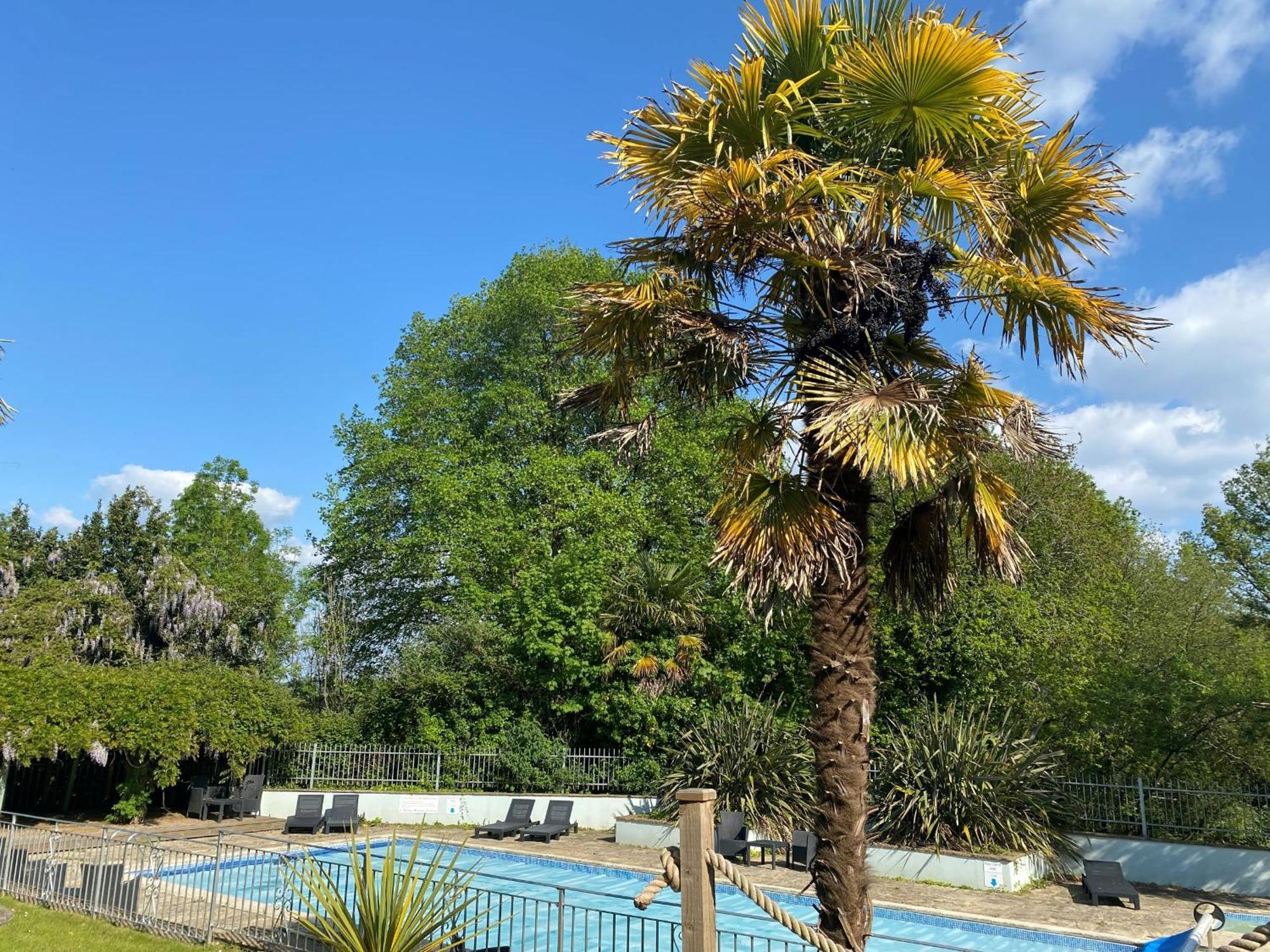 Fernhill Hotel ライム・レジス エクステリア 写真
